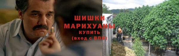 стафф Заволжье