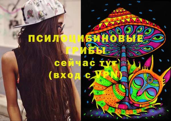 стафф Заволжье